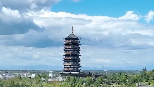 "三季見花 四季見綠" 候鳥安家的悅容公園等你來打卡